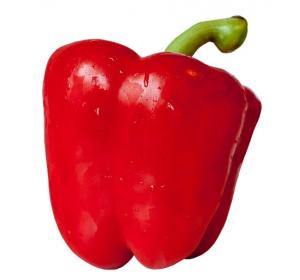 POIVRON ROUGE LE KG