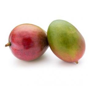 MANGUE OSTEEN LA PIECE