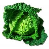 CHOU VERT FRISE LA PIECE