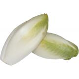 ENDIVE LE KG