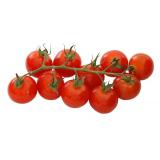TOMATE CERISE LE KG