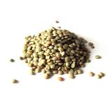 LENTILLE VERTE VRAC KG