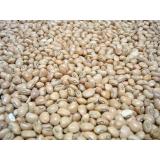 HARICOTS BLANC VRAC KG