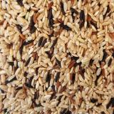 TRIO DE RIZ DE CAMARGUE VRAC KG