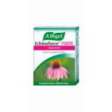 ECHINAFORCE FORTE
