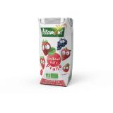 JUS FRAISE TETRA 20CL