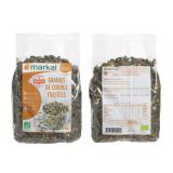 GRAINE COURGE TAOSTEES 500G