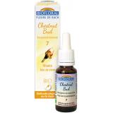 CHESTNUT MARONNIER COMPTE