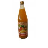 JUS ANANAS MANGUE
