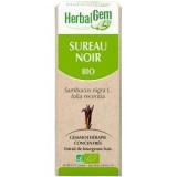 SUREAU NOIR 15 ML